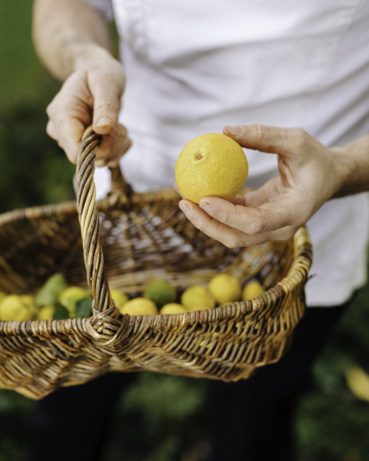 Patrick Agnellet - Image #9