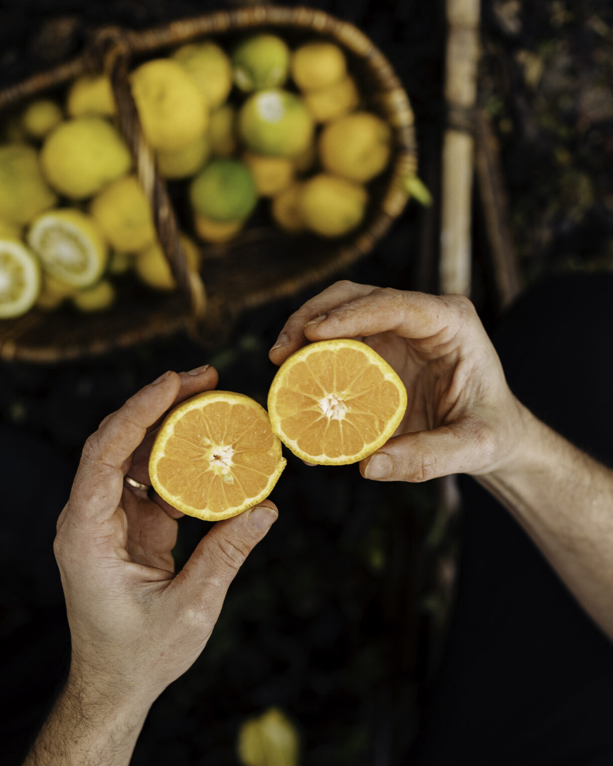 Patrick Agnellet - Image #10