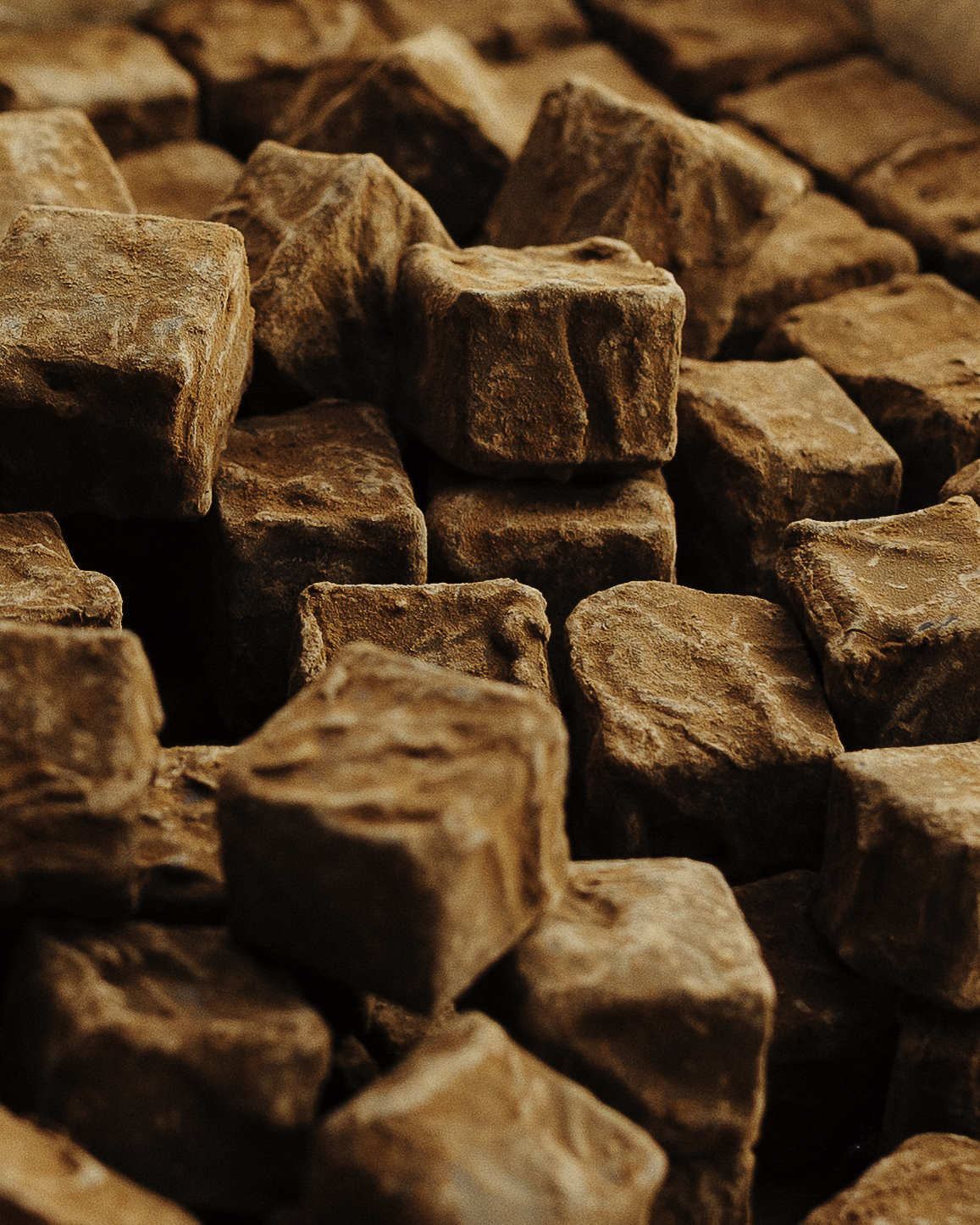 Patrick Agnellet - Image #8