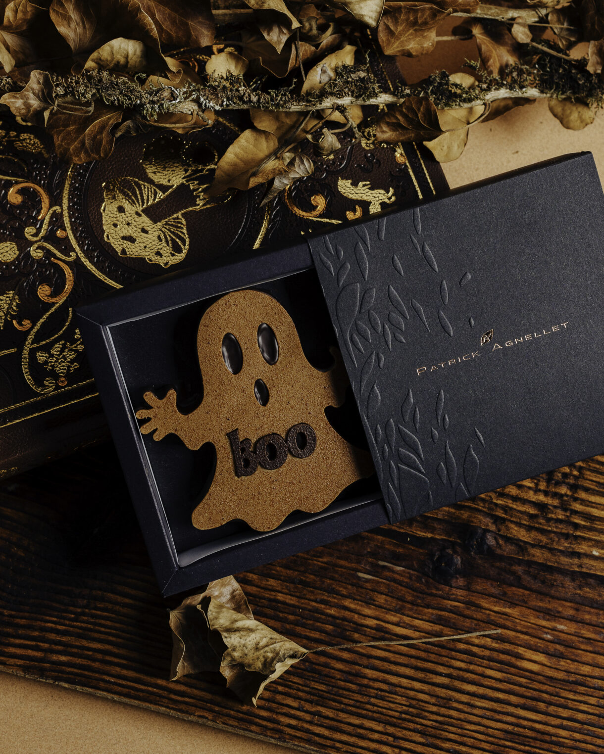 Patrick Agnellet - Image #24